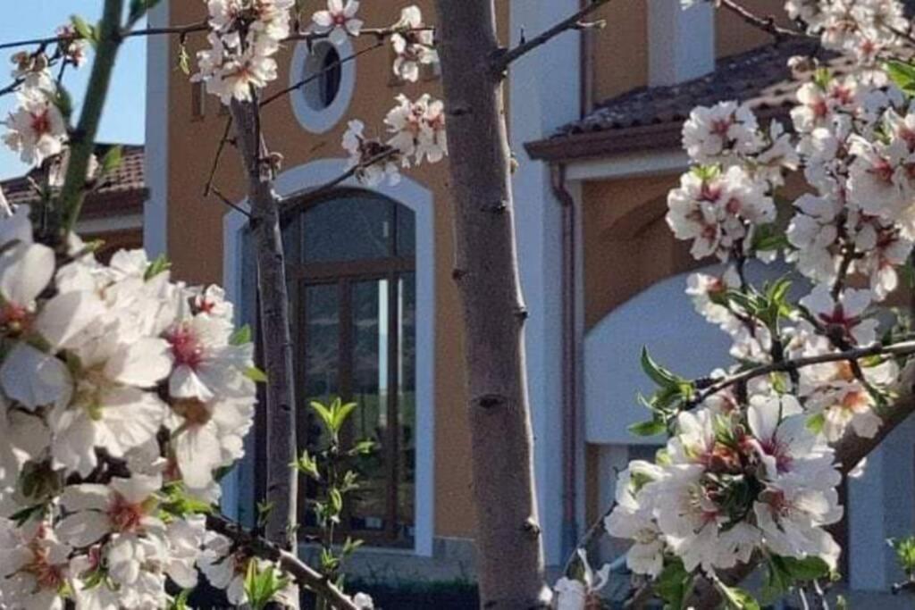 Callimaco'S Home Eden بييسْتوم المظهر الخارجي الصورة